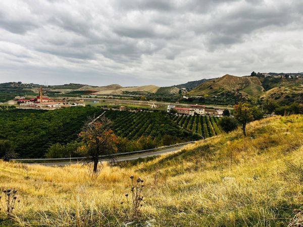 Terreno Edificabile Corigliano Calabro Stazione, Corigliano-Rossano, CS Vendita - Foto 3