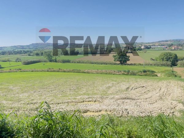 Terreno Potenza Picena, MC Vendita - Foto 3
