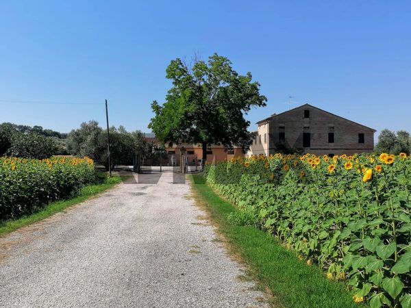 Casa Indipendente Mazzangrugno, Jesi, AN Vendita