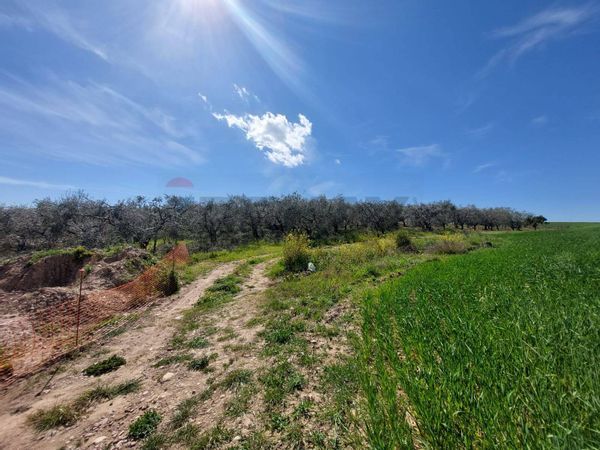 Terreno Miglionico, MT Vendita - Foto 4