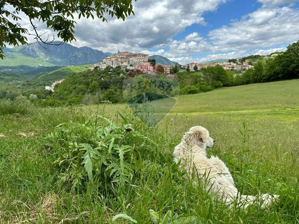 Casa Semindipendente Colli a Volturno, IS Vendita - Foto 4