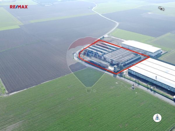 Capannone Industriale Sale, AL Vendita