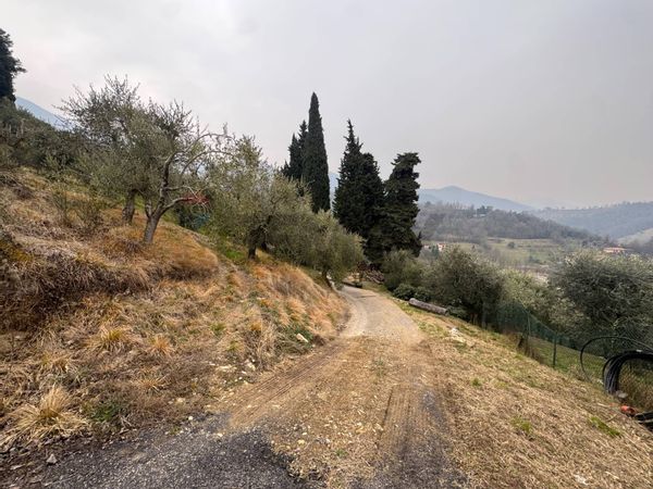 Terreno Edificabile Cenate Sopra, BG Vendita - Foto 3