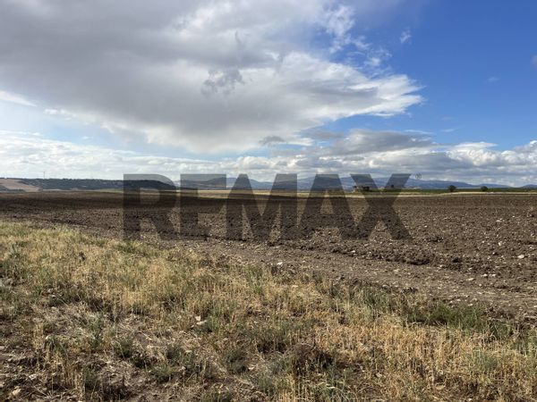 Terreno Zona Extraurbana, Foggia, FG Vendita - Foto 2