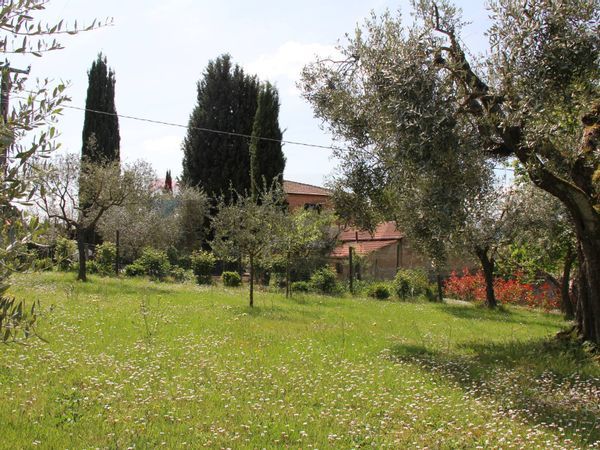 Cascina/Casale Montepulciano, SI Vendita - Foto 4