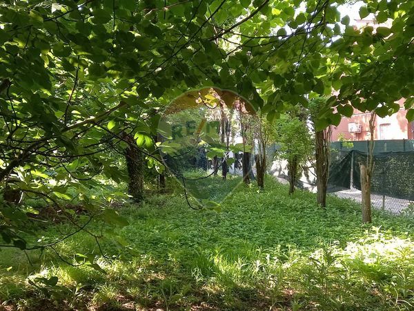 Villa singola Budrione, Carpi, MO Vendita - Foto 4