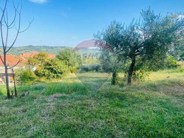 Cascina/Casale Fara Filiorum Petri, CH Vendita - Foto 3