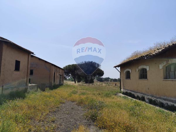 Terreno S. Palomba, Pomezia, RM Vendita - Foto 2
