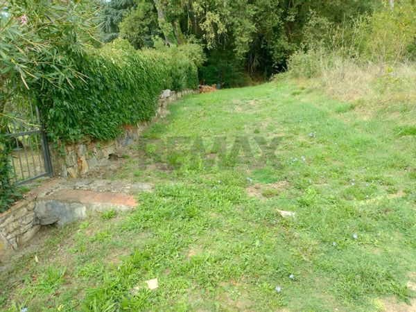 Terreno Chiantigiana, Montevarchi, AR Affitto - Foto 3