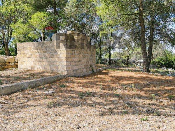 Baita/Chalet/Trullo Collepasso, LE Vendita - Foto 3
