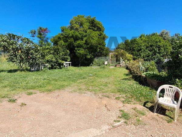 Villa singola Bracciano, RM Vendita - Foto 4
