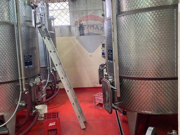 Attività  Commerciale Cupello, CH Vendita - Foto 2