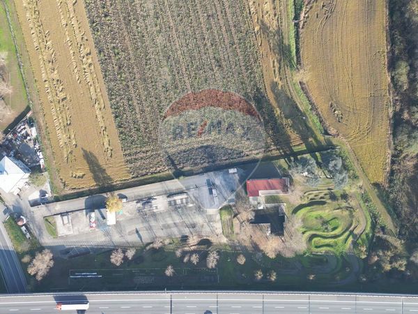 Stabile/Palazzo S. Cuore - S. Martino, Novara, NO Vendita - Foto 4