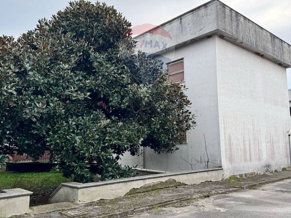 Appartamento Carinola, CE Vendita - Foto 3