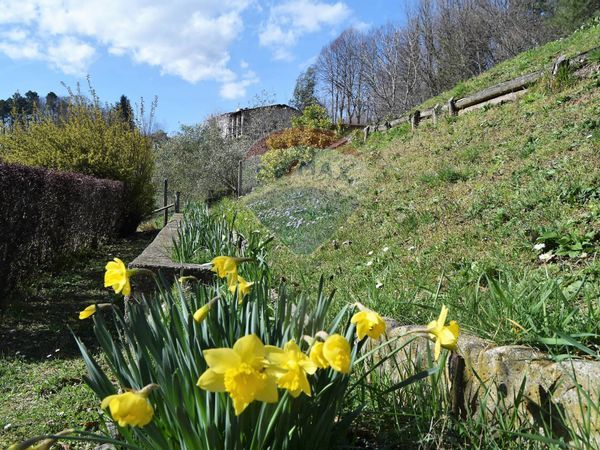 Casa Indipendente Montaltissimo, Molazzana, LU Vendita - Foto 4