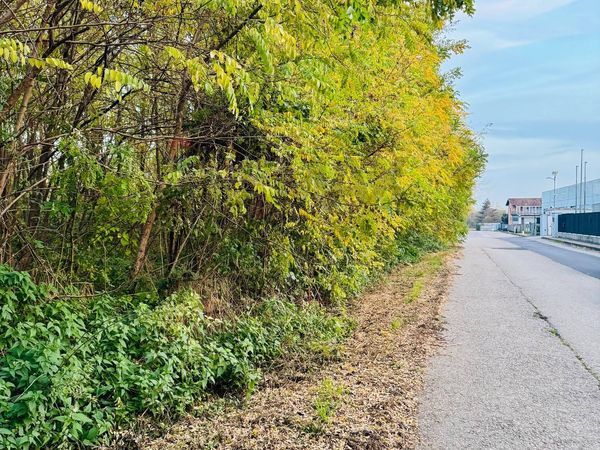 Terreno Edificabile Romagnano Sesia, NO Vendita - Foto 4