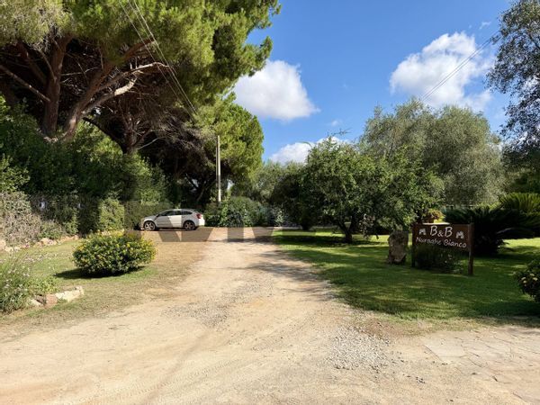 Villa singola Santa Maria la Palma, Alghero, SS Vendita - Foto 4