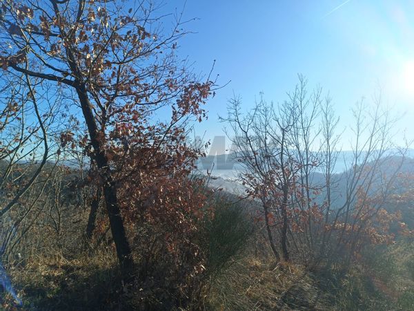 Cascina/Casale Cairo Montenotte, SV Vendita - Foto 2