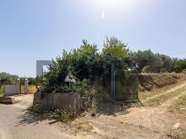 Villa o villino Mineo, CT Vendita - Foto 3