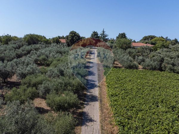 Casa Indipendente Fossacesia, CH Vendita - Foto 4