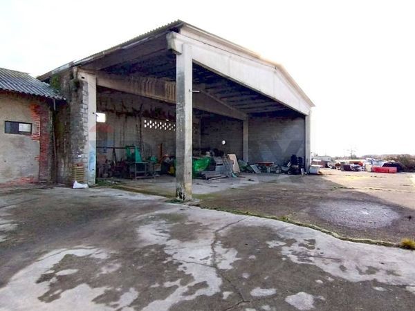 Cascina/Casale Arborio, VC Vendita - Foto 3