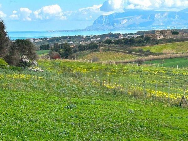 Terreno Calatafimi-Segesta, TP Vendita - Foto 3