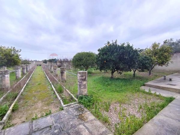 Casa Indipendente Novoli, LE Vendita - Foto 4