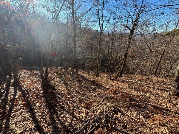 Terreno Montezemolo, CN Vendita - Foto 4