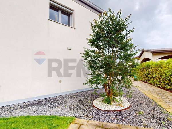 Villa singola Campolongo Maggiore, VE Vendita - Foto 3