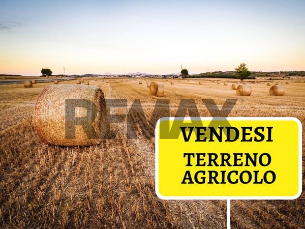 Terreno Zona Extraurbana, Foggia, FG Vendita