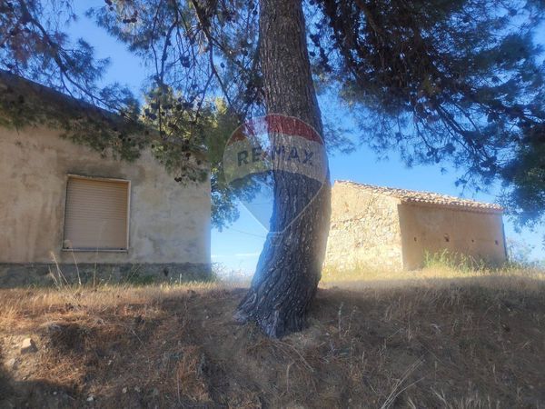 Terreno Corigliano-Rossano, CS Vendita - Foto 2