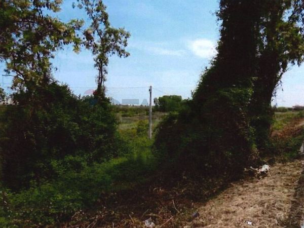 Terreno Industriale Martinsicuro, TE Vendita - Foto 3