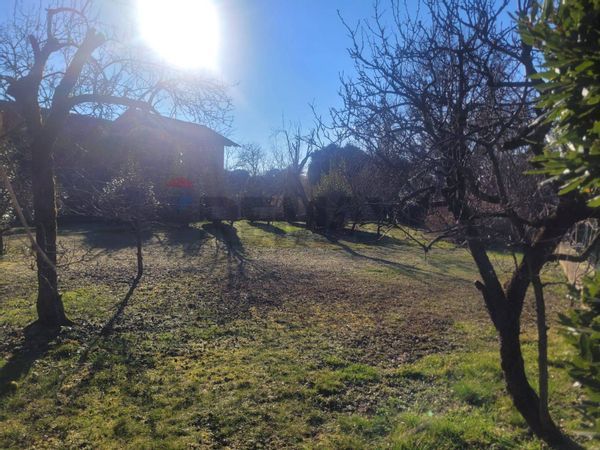 Villa singola Greggio, VC Vendita - Foto 2