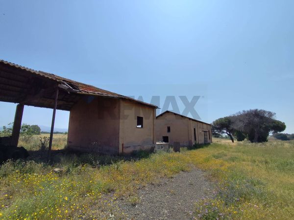 Cascina/Casale S. Palomba, Pomezia, RM Vendita - Foto 2