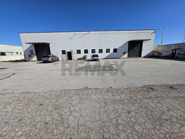 Capannone Industriale Pomezia, RM Affitto