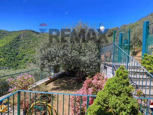 Casa Indipendente Testana, Avegno, GE Vendita - Foto 3