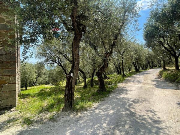 Rustico Collodi, Pescia, PT Vendita - Foto 4