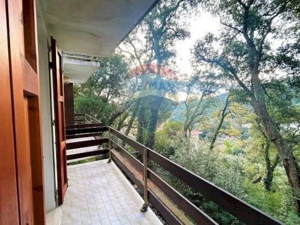 Appartamento Sassetta, LI Vendita - Foto 3