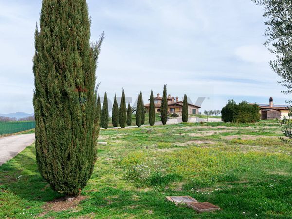 Villa singola Palombara Sabina, RM Vendita - Foto 4