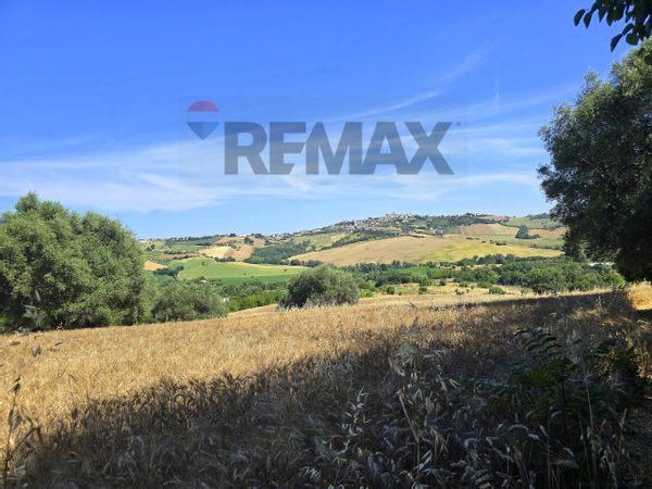 Cascina/Casale Montegranaro, FM Vendita - Foto 3