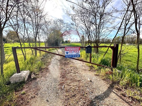 Cascina/Casale Salussola, BI Vendita - Foto 4