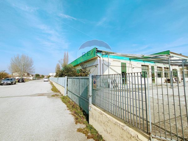Capannone Industriale Tresignana, FE Vendita - Foto 2