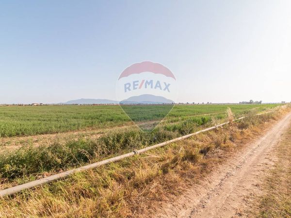 Terreno San Donato, Orbetello, GR Vendita - Foto 3