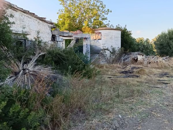 Casa Indipendente Marina di Ginosa, Ginosa, TA Vendita - Foto 2