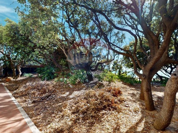 Seminterrato San Vincenzo, LI Vendita - Foto 3