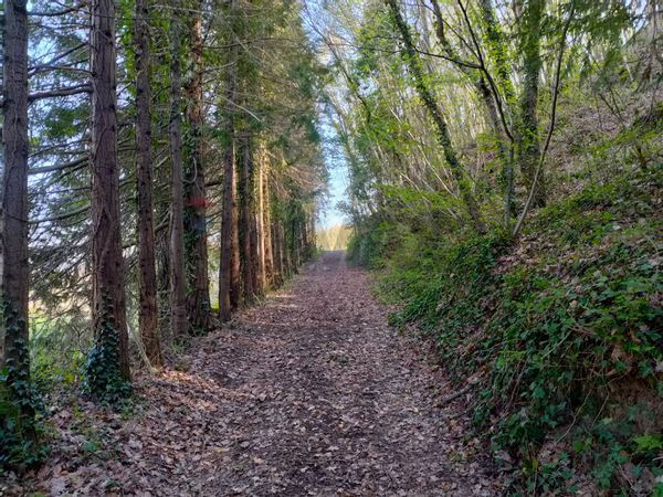 Cascina/Casale Gubbio, PG Vendita - Foto 4