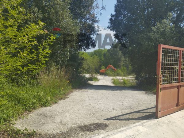 Capannone Industriale Piano d'Orta, Bolognano, PE Affitto - Foto 2