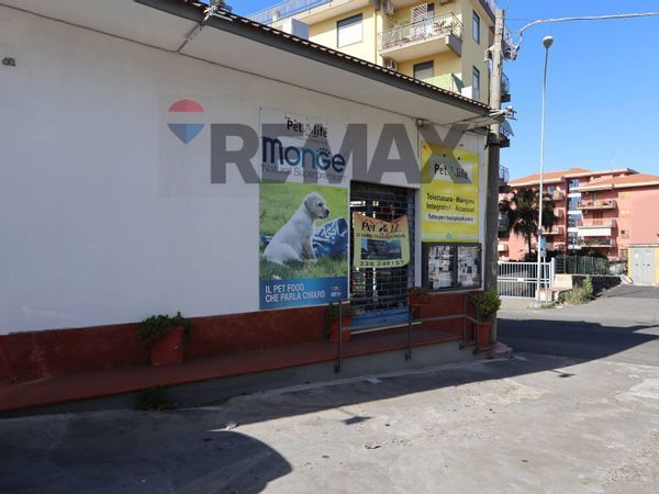 Commerciale Altro Giarre, CT Affitto - Foto 3