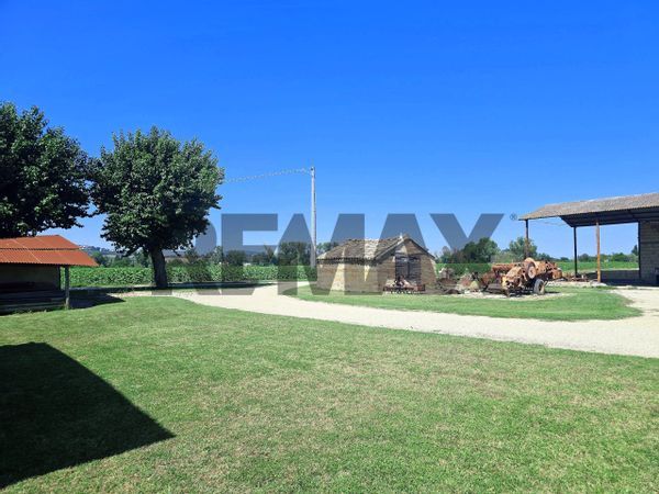 Cascina/Casale Recanati, MC Vendita - Foto 4