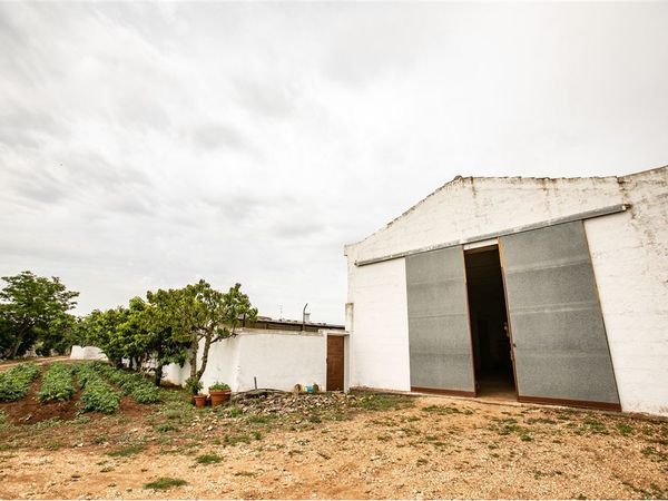 Fattoria Gioia del Colle, BA Vendita - Foto 4